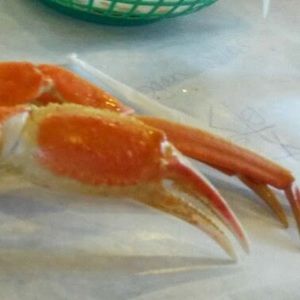 Meet your Posher, Logan